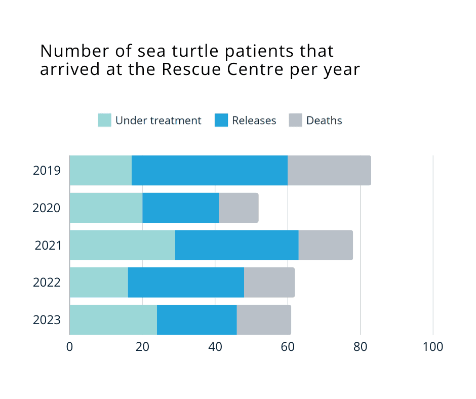 Number of sea turtle patients that arrived at the Rescue Centre per year